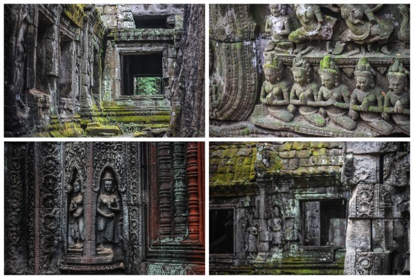 Angkor - Ta Prohm Temple
