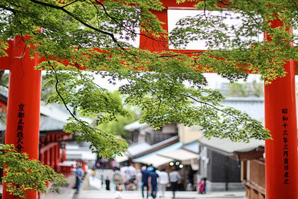 Kyoto - Inari Temple